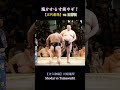 塩かかる寸前やぞ❗ 【正代劇場】vs 玉鷲戦 川崎場所(春巡業) Sumo Shodai-drama