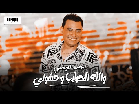 والله الحبايب وحشوني تونسي الغرام والحظ ملك الاغنية الشعبية احمد التونسي الغمراوي 2024