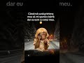 😂😂😂 #relatable #funny #fart #viral #memes #yutube