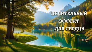 Звуки Природы, Шикарное Пение Лесных Птиц и Звуки Леса. Подарят Вам Чудесное Настроение на Весь День