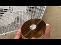 Old hard drive platter in a cd drive