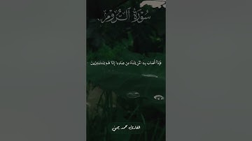 ﴿فَانظُر إِلى آثارِ رَحمَتِ اللَّهِ كَيفَ يُحيِي الأَرضَ بَعدَ مَوتِها﴾ تلاوة من #سورة_الروم