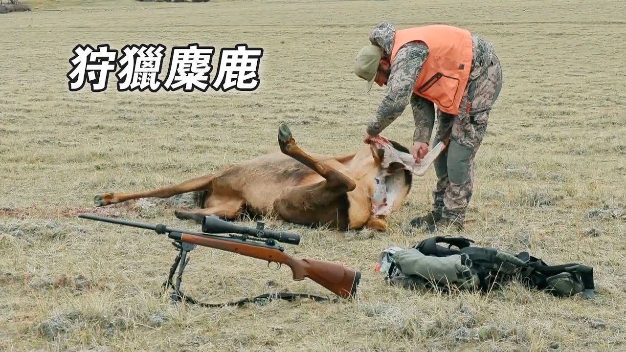 北美荒野山地硬漢：狩獵麋鹿砍伐原木，打造輪船驅趕黑熊，開闢溝渠引流山泉水！紀錄片