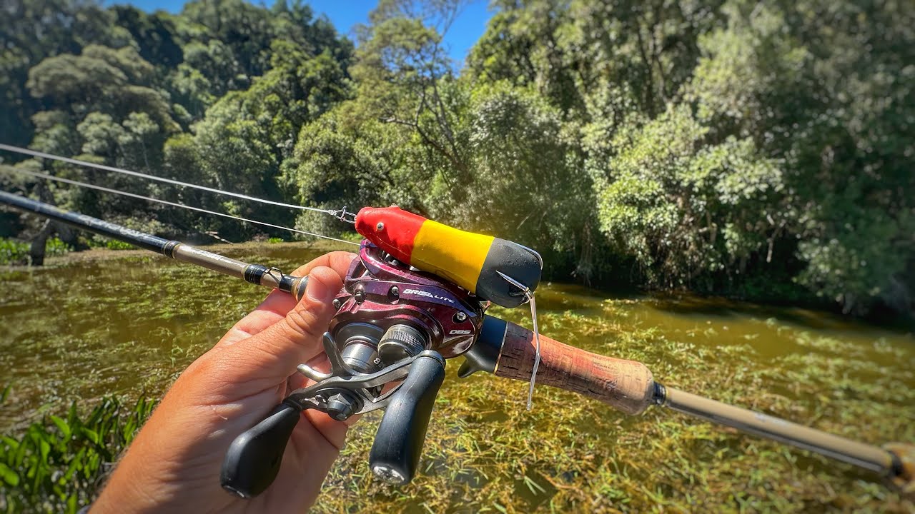 PARAÍSO DELAS! Pescaria de traíras na represa de Volta Grande!!!