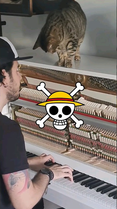 Binks No Sake #onepiececover #onepiecemusic #animemusic