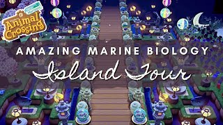 AMAZING MARINE BIOLOGY INSPIRED ISLAND TOUR | Animal Crossing New Horizons