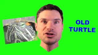 Samantha Swan Has Flair