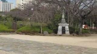 Tokyo 2010 1211.mp4