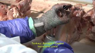 Turkey Frame Scraping