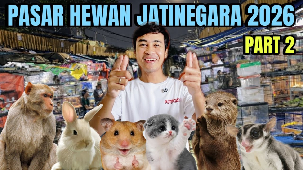 PASAR HEWAN JATINEGARA 2026‼️ Part 2
