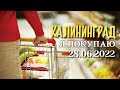 Покупка продуктов июнь 2022 / цены на продукты в Калининграде