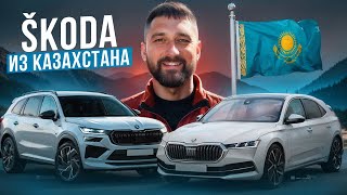 : SKODA  :   , ,  2024,  