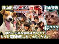猫ミームで見る実写版進撃の巨人がクソ映画になった真相と芸術にされてしまった町ヴァーさん「1億部売った漫画家なら他人の人生メチャクチャにしても許されるのかよ…!」【猫マニ】【Cat meme】