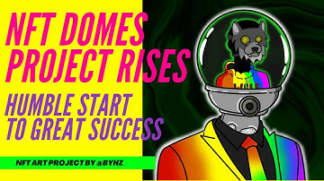 NFT Domes Project Rises on Algorand Blockchain #ALGO! From its Humble Beginning to Great Success