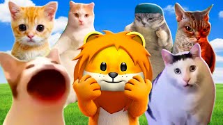 I tried Roblox to find the popular cat memes and skivvies toilets [Find Roblox memes] screenshot 4