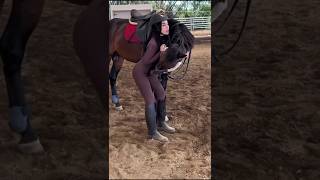 #cavalo #pecuarista #cavalos #playvaquejada #horse #marchadores #vaquejada #cavalgada #agro #fazenda