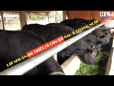 Hành trình KHỞI NGHIỆP của THANH NIÊN TRẺ 9x & Thành Quả Đầu Tiên