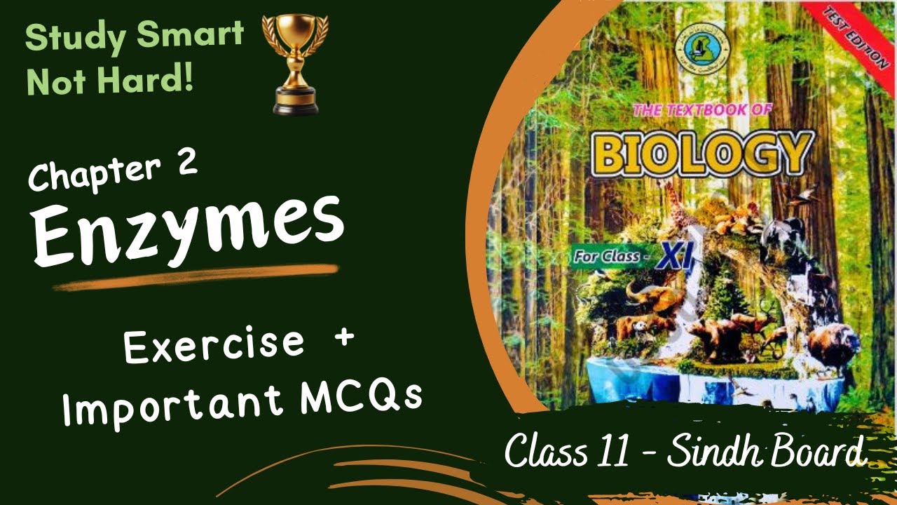 Exercise Solved Important MCQs Chapter 2 Sindh Board Class 11 Exercise solved important mcqs chapter 2 sindh board class 11
