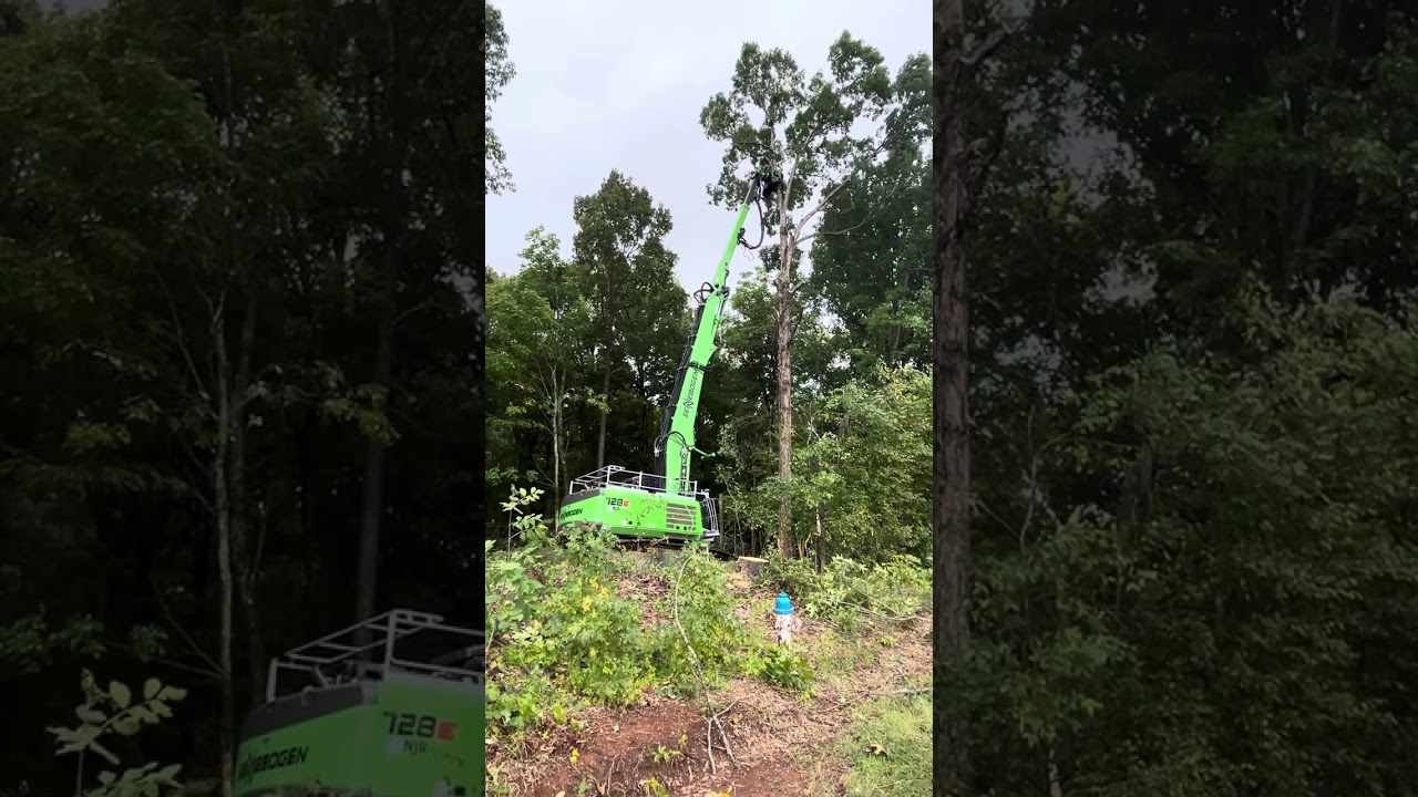 Sennebogen 728E Tree Handler