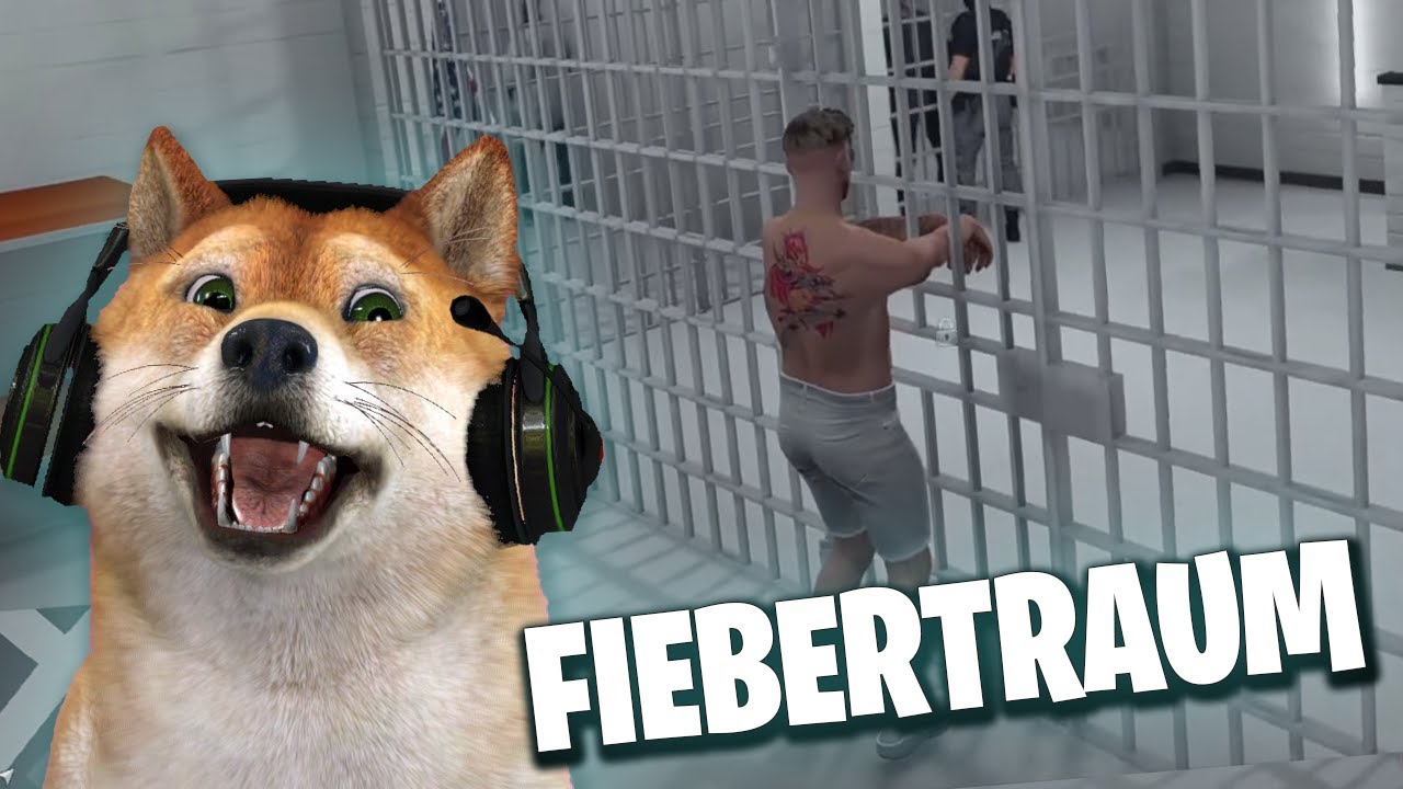 COP IN DEN ZELLEN VERFÜHREN!? 😂 - CSYON Stream Highlights