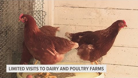 Michigan health officials urge dairy and poultry farms to limit visits to stop spread of bird flu