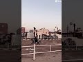 فنانه ماشاء الله عليها خيل السعودية