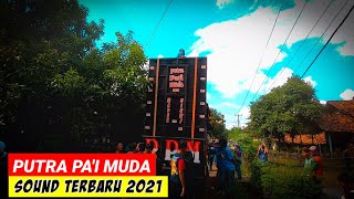 Wartiyem...... singa depok Putra Pai Muda ❗Pesayangan Gantar Indramayu terbaru