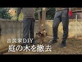 庭でどえらい木の根っこが抜けました【古民家リノベーション#32】