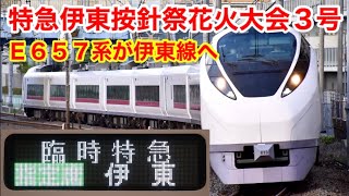 【E657系伊東線初入線】特急伊東按針祭花火大会3号に乗った！東京→伊東