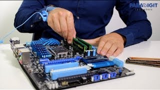 Werkgeheugen Uitbreiden. - Paradigit