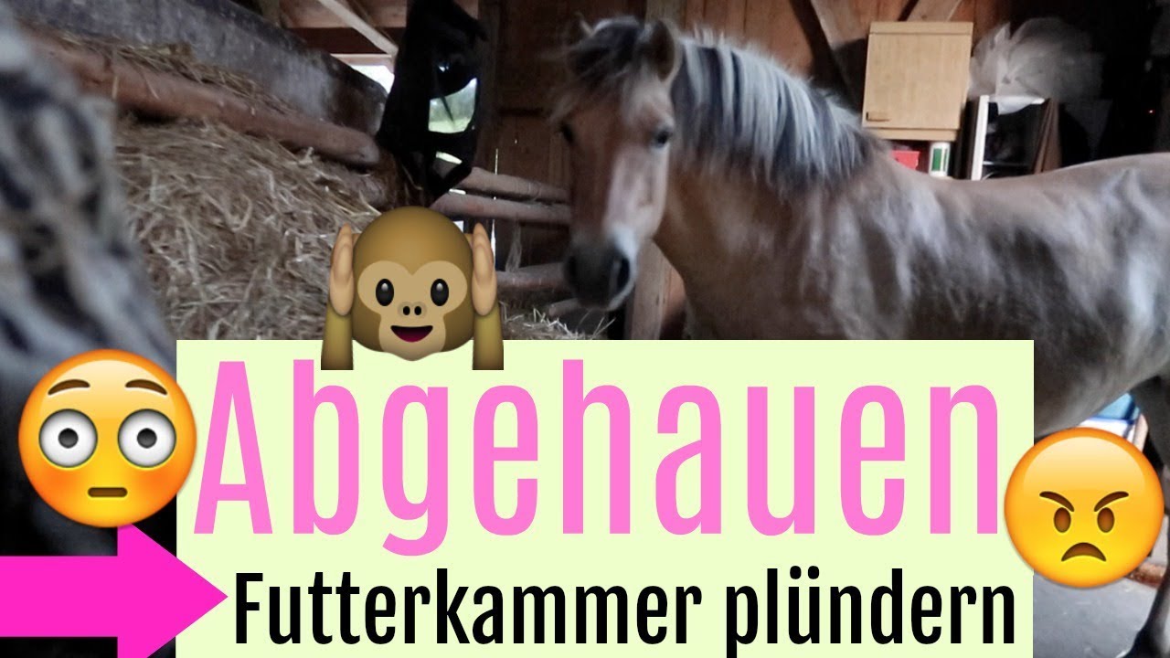 FAUNITA ABGEHAUEN FUTTERKAMMER PLÜNDERN