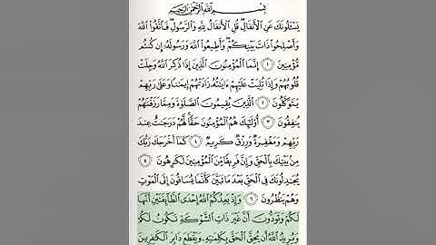 الحزب 18 من القرآن الكريم الشيخ أبو بكر الشاطري