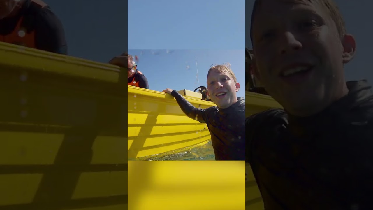 Turtle Tagging 🐢😲 | Out There with Jack Randall | @natgeokids