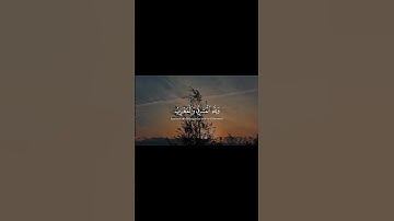 طاهر الصميلي || سورة البقرة 🤎🍁 #quran #قرآن #اجر_لي_ولك #wtaq_1
