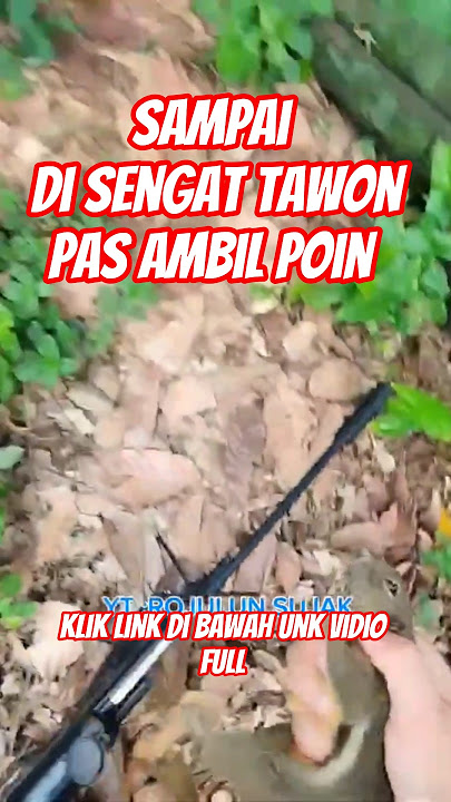 Download lagu sampai di sengat tawon pas ambil poin guyss#berburu#hunting#tekukurliar #bajingkelapa#hama#trending