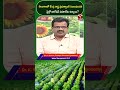 తెలంగాణలో కేంద్ర రాష్ట్ర ప్రభుత్వాలకి సంబంధించిన మైక్రో ఇరిగేషన్ పధకాలేమి ఉన్నాయి ? | T-SAT