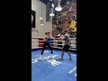 Counter Punch #shorts