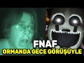 FNAF Ama Gece Görüşü Kamerasıyla Ormanın Yanında (Glitched Attraction Bölüm 1)