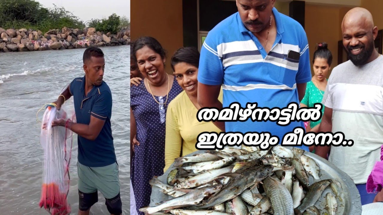 തമിഴ്നാട്ടിൽ പോയി ഒരു വല വീശി.. മീൻ കണ്ട് ഞങ്ങടെ കിളി പോയി....