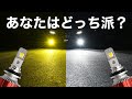 イエロー、ホワイトあなたはどっち派？【VELENO】
