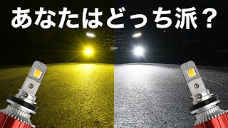 イエロー、ホワイトあなたはどっち派？【VELENO】