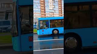 автобус маз-216 2130.