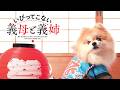 【いびってこない義母と義姉】「今日のグンちゃん」一迅社CM12