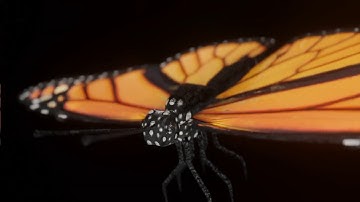 Butterfly 3D animation || Blender