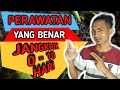 Cara merawat jangkrik usia 0 - 10 hari