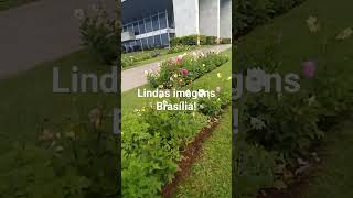 Lindas imagens Brasília/Núbia Sales