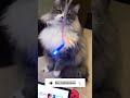 Что будет если использовать Nintendo Switch Oled без защитного стекла и чехла ?