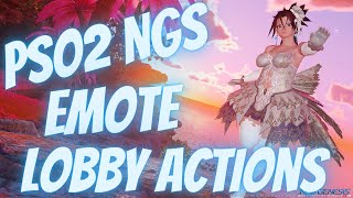 PSO2 NGS 411: Peekaboo Emote Lobby Action 411「いないいないばぁ」