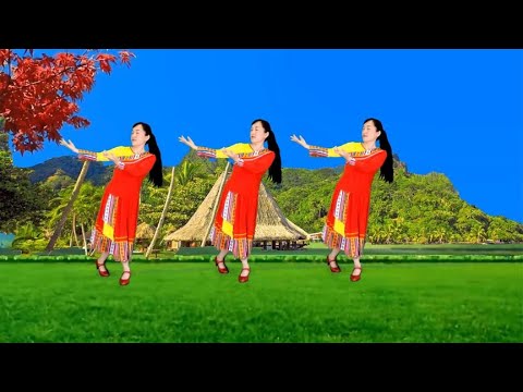 入门广场舞《你从草原走来》优美大气，简单易学