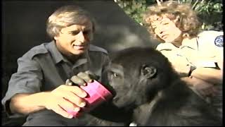 Zoo Life with Jack Hanna – Bonkers for Babies (1995 VHS Transfer)